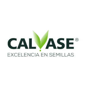 Calvase